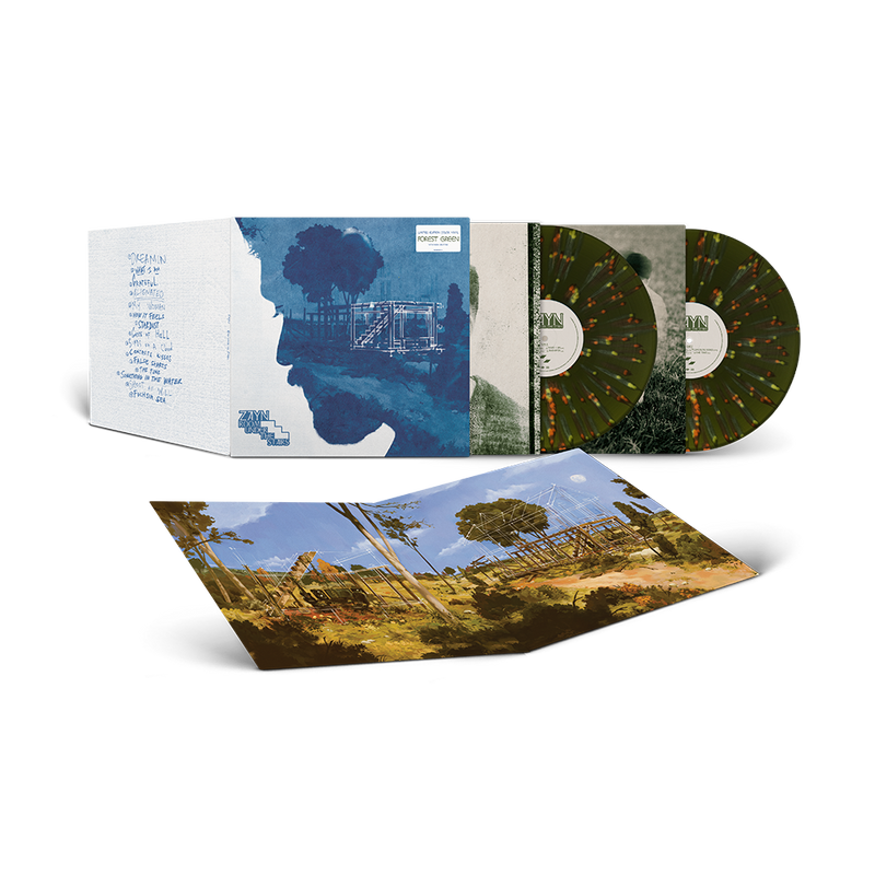 Room Under The Stairs 2LP Zayn Official Store