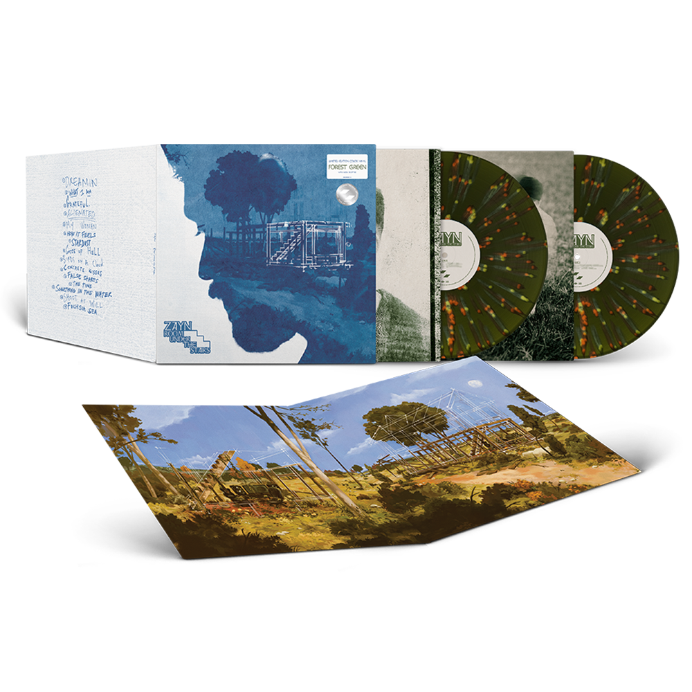 Room Under The Stairs 2LP (First Edition Vinyl)