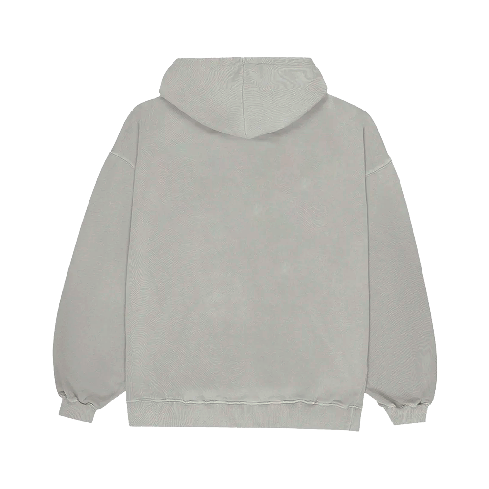 Z GREY HOODIE (Limited Edition) Back